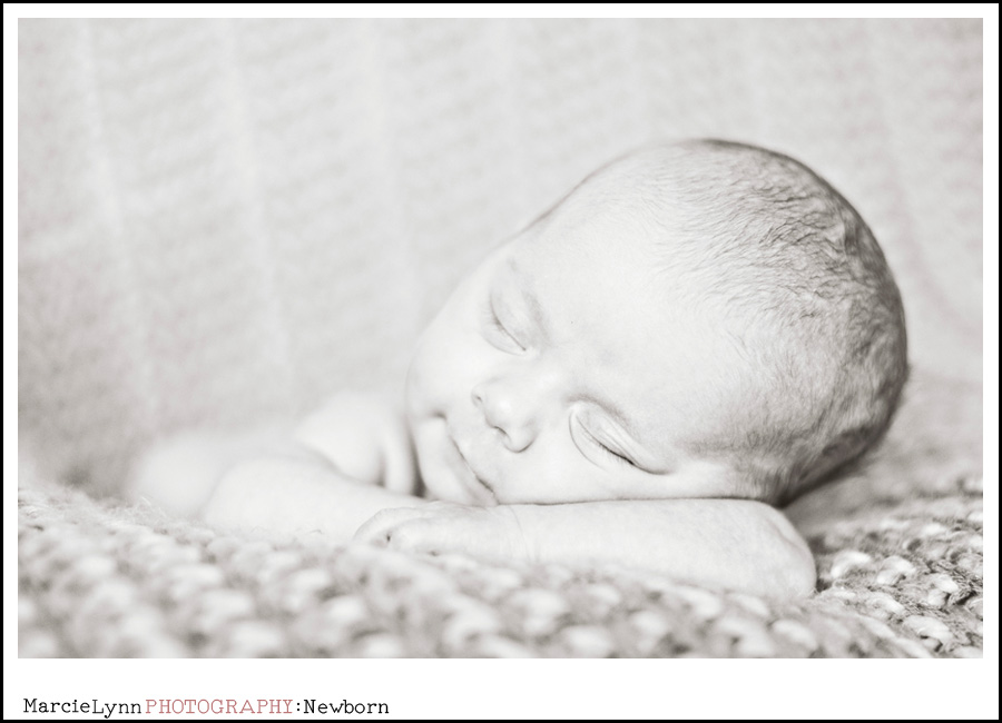 Marcie Lynn Photography - Newborn 