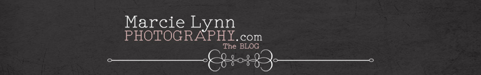 Marcie Lynn Photography – San  Francisco Bay Area Photographer logo